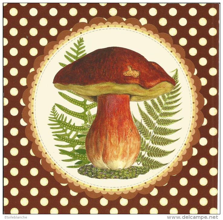 Carte Illustrée Champignon / Cèpe, Bolet, Fougères - Champignons