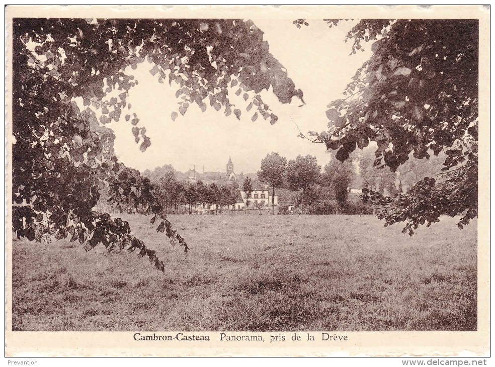 CAMBRON - CASTEAU - Panorama, Pris De La Drève Et La Rue De La Station - Soignies