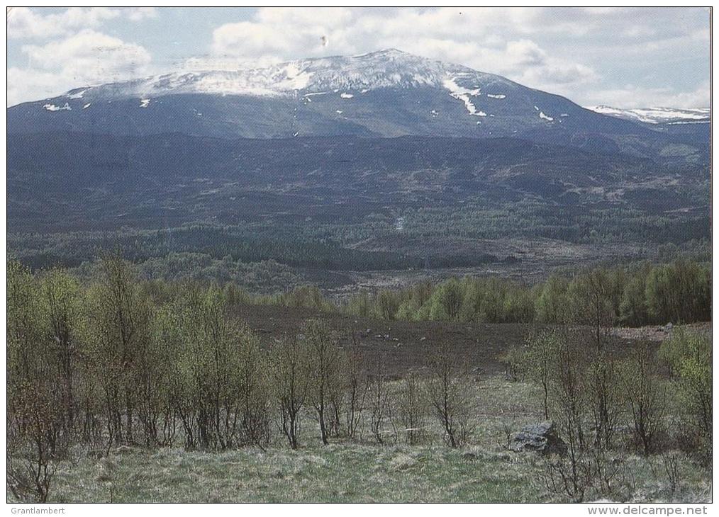 Schiehallion From Tummel Forest, Scotland - Phil Banks H377, Posted 2007 - Perthshire