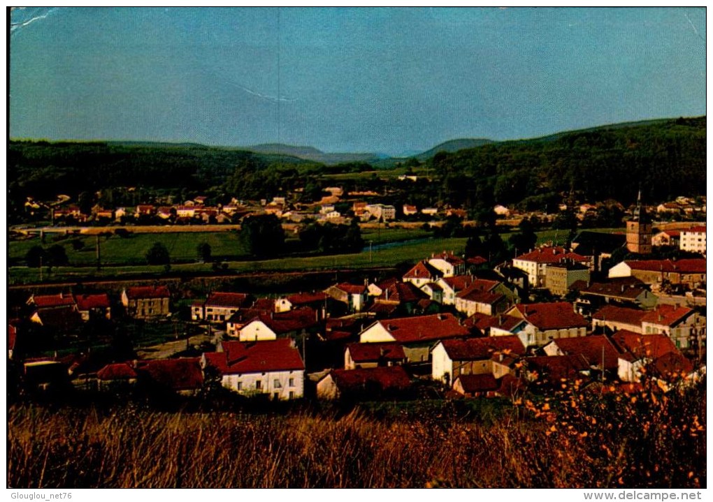 88-POUXEUX..ECHAPPEE SUR CENTRE ET JARMENIL....CPM - Pouxeux Eloyes