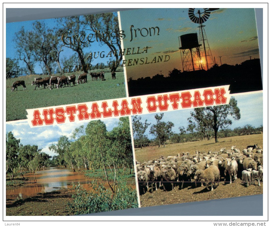 (456) Australia - Cow & Sheep - Outback