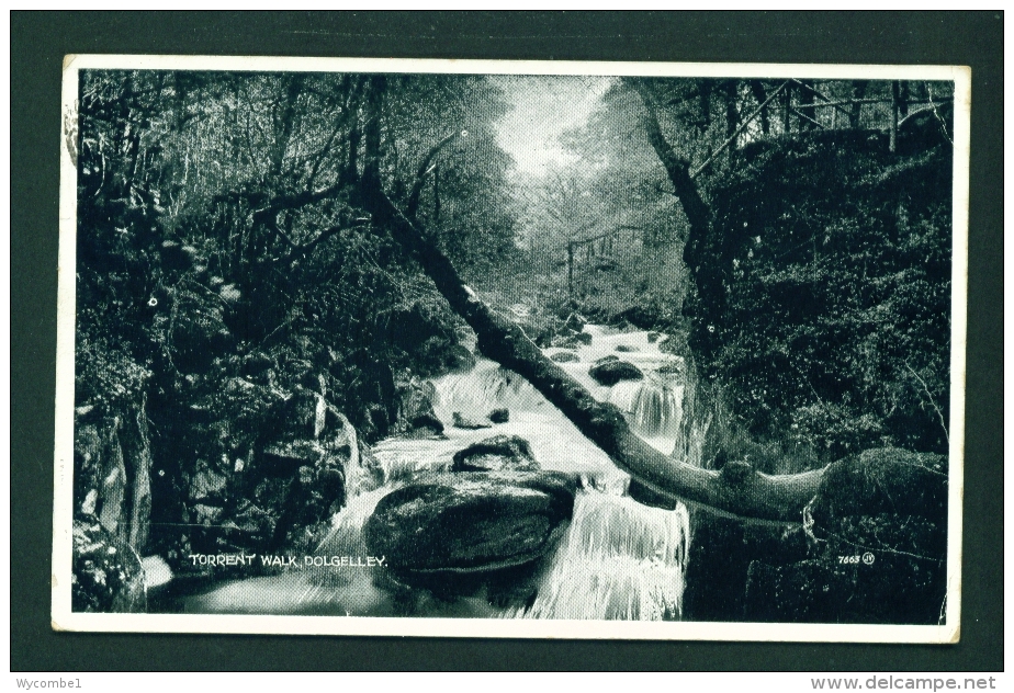 WALES  -  Dolgelley  Torrent Walk  Used Postcard As Scans (two Mount Tabs) - Merionethshire