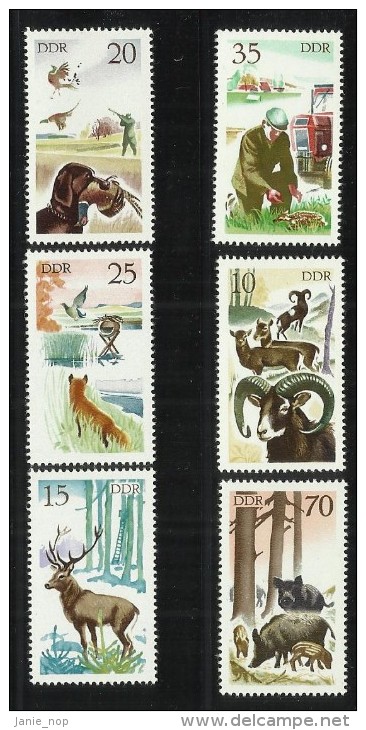 German Democratic Republic 1977 Hunting - Unused Stamps