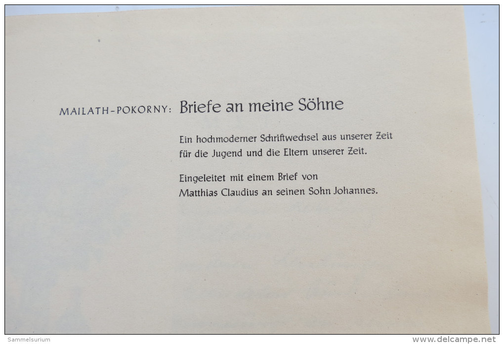 Mailath-Pokorny "Briefe An Meine Söhne" Ein Lebensweiser Für Junge Menschen - Biographies & Mémoirs