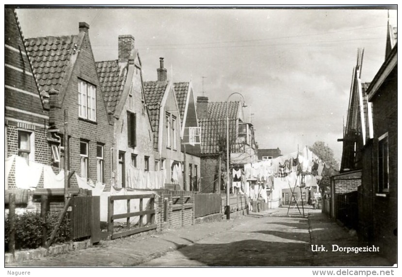 URK DORPSGEZICHT  -  CPSM 1940 / 50 - Urk