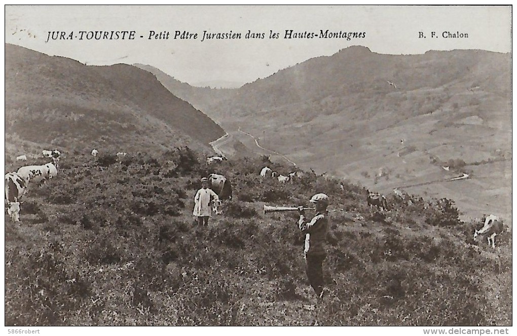 CARTE POSTALE ORIGINALE ANCIENNE : JURA  PETIT PATRE JURASSIEN DANS LES HAUTES MONTAGNE  VACHES  ANIMEE  JURA (39) - Viehzucht