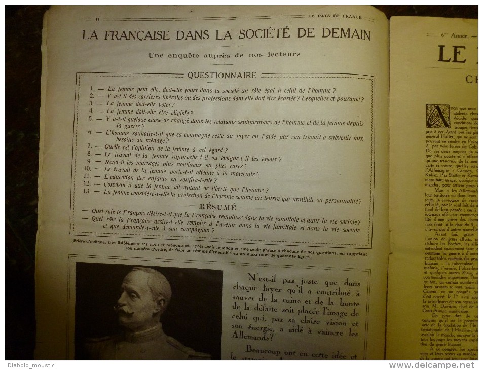 1919 LPDF:Fanions LPDF à L' Escadrille Américaine;ODESSA ;Un SINGE Domestiqué Pourrait Faire Des Tâches Simples Gratuit - Französisch