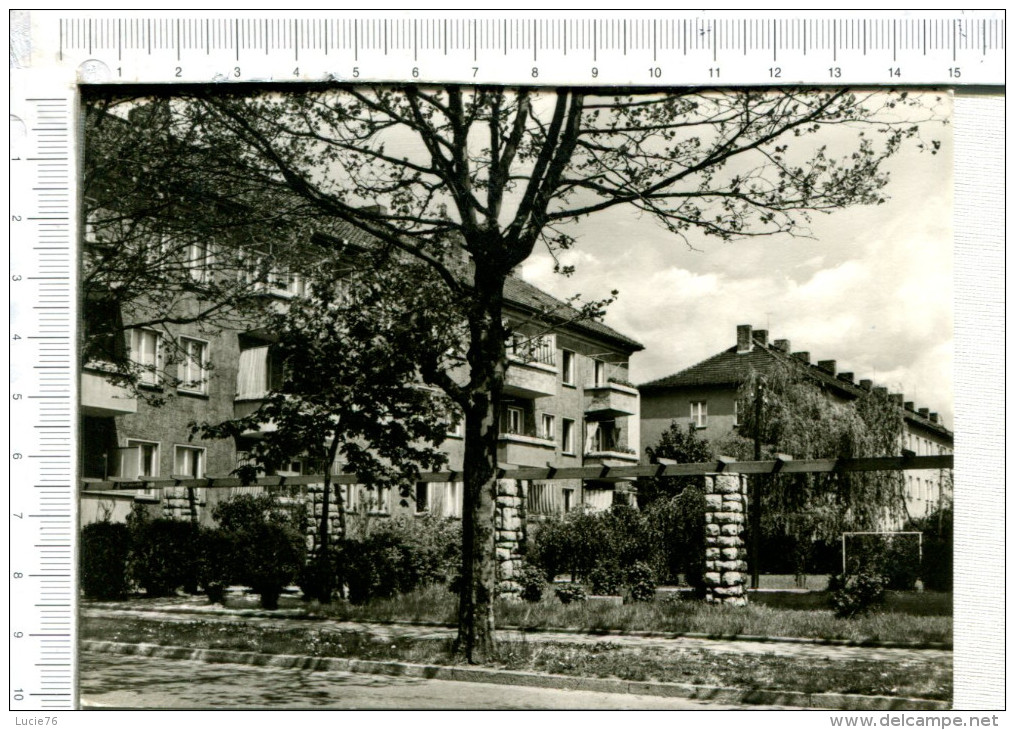 VELTEN  Bei   Berlin  -  Wohnsledlung An Der Karl Liebknecht  Strasse - Velten