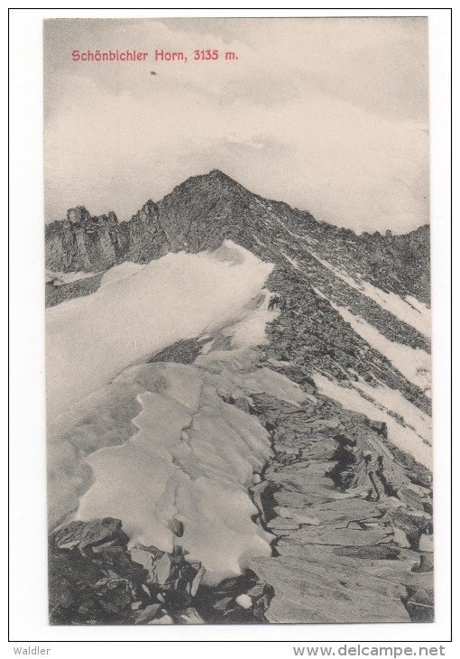 629X  SCHÖNBICHLER HORN   ~ 1905 - Zillertal