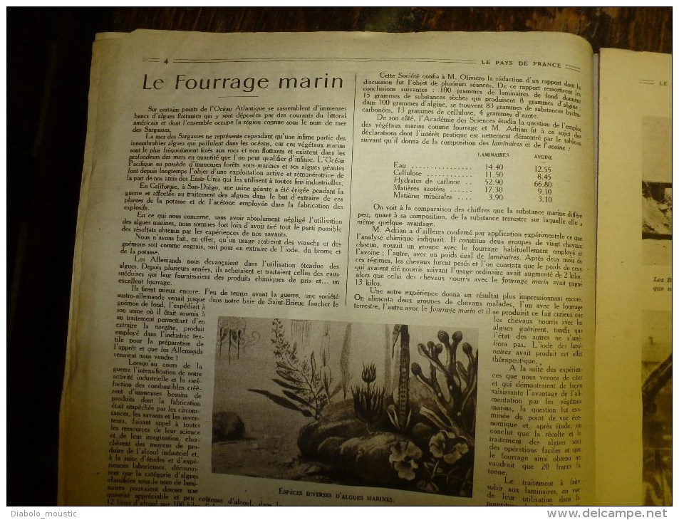 1919 LPDF:Fourrage Marin;Rainsart,Sains-du-Nord;Fbg Poissonnière; ALLEMAGNE;Bon Charbon-poussier;DUNKERQUE; Pomme De T - French