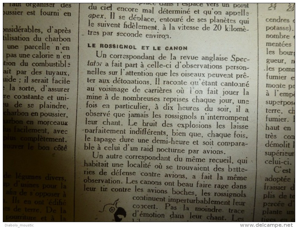 1919 LPDF:Fourrage marin;Rainsart,Sains-du-Nord;Fbg Poissonnière; ALLEMAGNE;Bon charbon-poussier;DUNKERQUE; Pomme de t