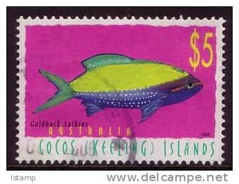 1995 - Cocos (keeling) Islands Marine Life $5 GOLDBACK ANTHIAS Stamp FU - Cocos (Keeling) Islands
