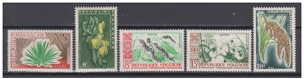 Madagascar, Malgache, Malagasy, 1960, Plants, MNH, *** - Sonstige & Ohne Zuordnung