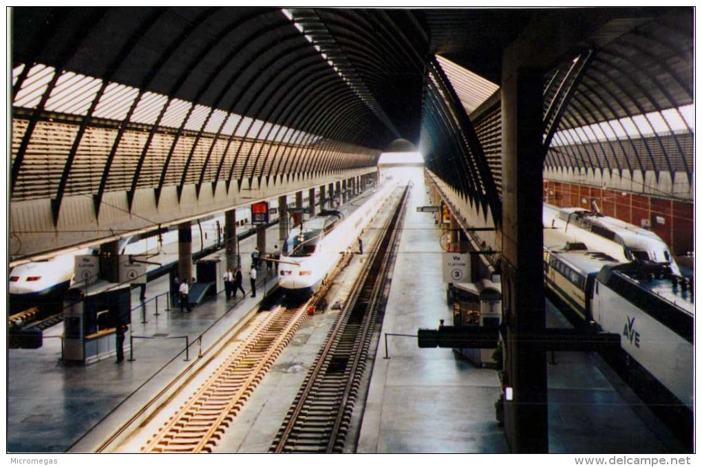 Séville - Gare Santa Justa - Une Rame AVE - 1998 - Trains