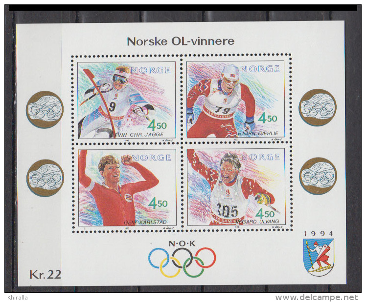 NORVEG      1993      BF    N°   19            COTE    10 € 00 - Blocs-feuillets