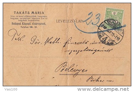 ROYAL CROWN STAMP ON POSTCARD, 1913, HUNGARY - Cartas & Documentos