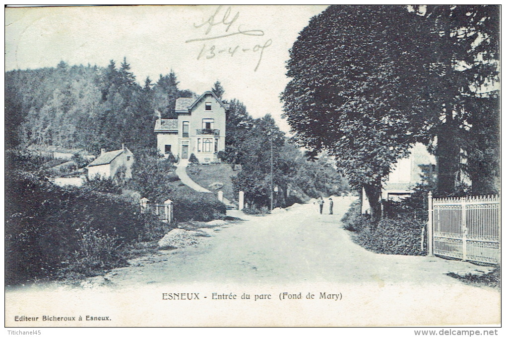 ESNEUX - Entrée Du Parc (Fond De Mary) - Editeur Bicheroux à Esneux - Esneux