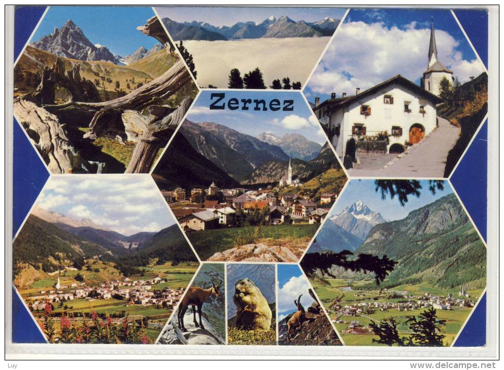 ZERNEZ, GR - Engadin, Mehrbildkarte,  M. Murmeltier, Gemse, Steinbock, Kirchturm - Domat/Ems