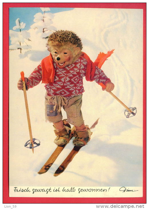 155916 / MECKI - SPORT Skiing Ski Sci Skifahren Skien FRISCH GEWAGT IST HALB GEWONNEN - 326  DIEHL FILM MUNCHEN Germany - Mecki