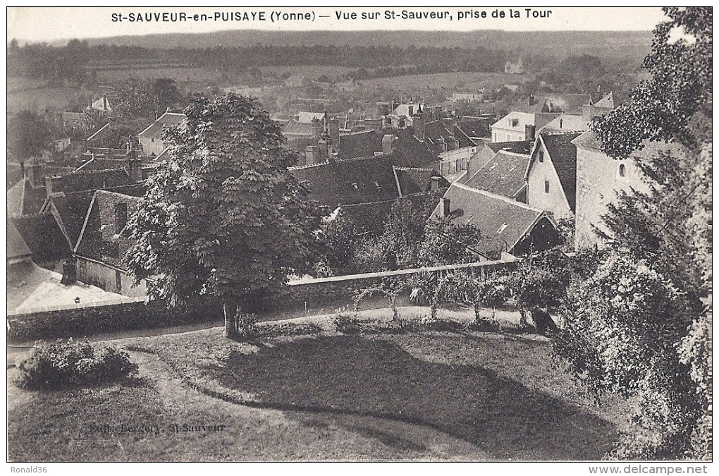 Cp 89 SAINT ST SAUVEUR En PUISAYE Vue Prise De La Tour   (  Parc Habitation Chemin Forêt ) - Saint Sauveur En Puisaye