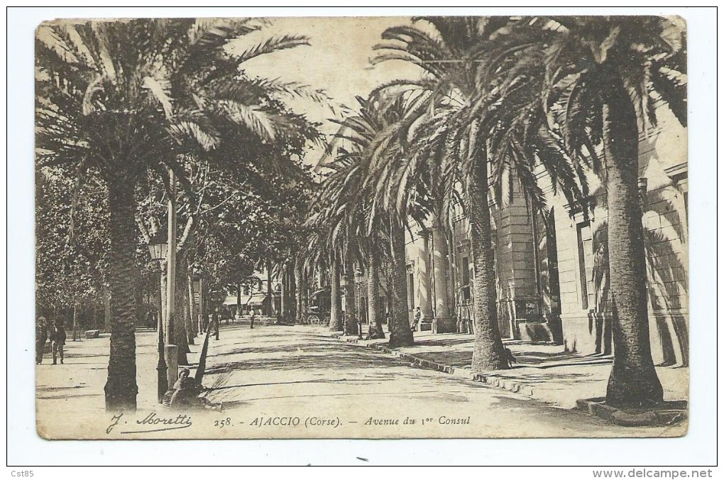 CPA - Ajaccio - Avenue Du 1er Consul - Ajaccio