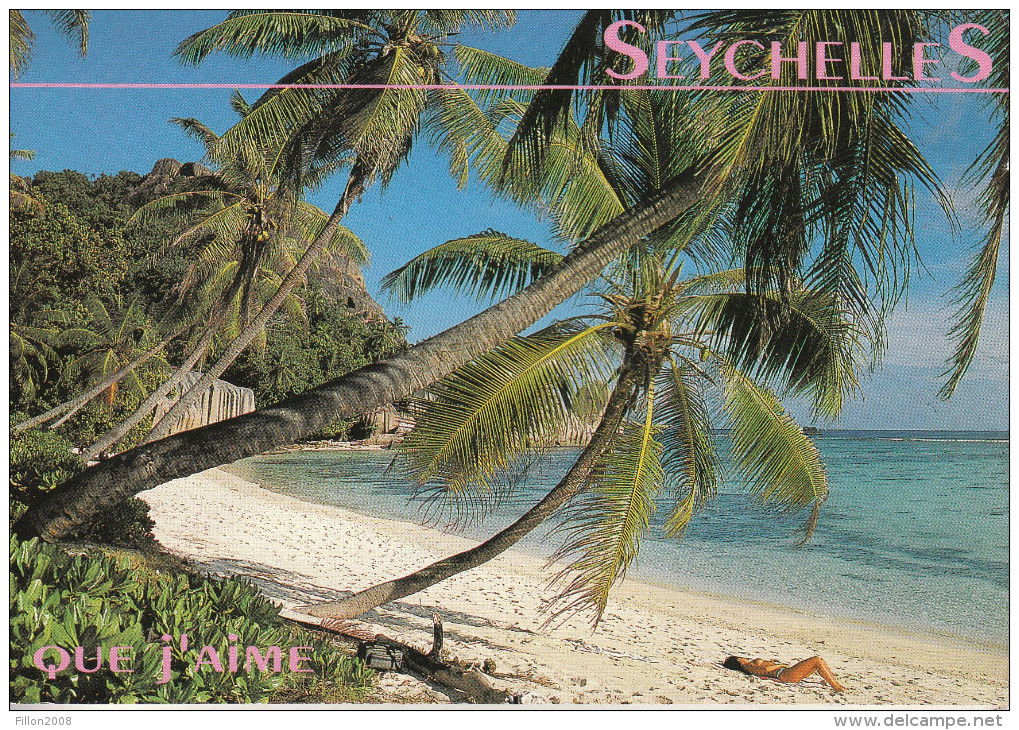 Seychelles - Plage De Sable Fin, Cocotiers, Soleil, De Quoi Rêver - Seychellen