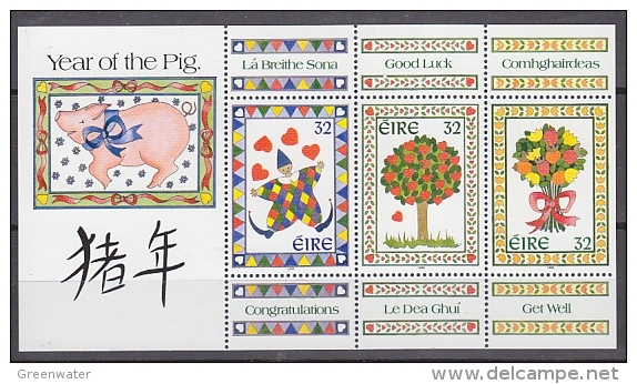 Ireland 1995  Year Of The Pig M/s ** Mnh (F2402) - Blocks & Sheetlets