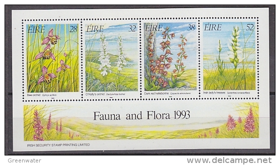 Ireland 1993 Fauna & Flora  M/s ** Mnh (F2404) - Blocks & Sheetlets