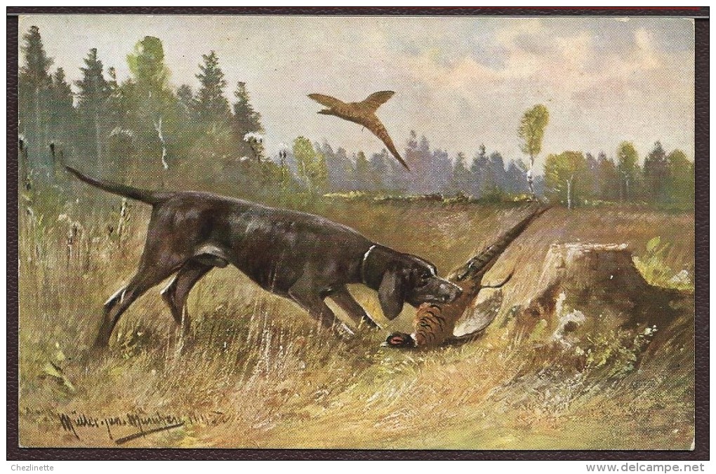 CP FANTAISIE / SCENE DE CHASSE PAR AUGUST MÛLLER MUNCHEN / CHIEN UN FAISAN DANS SA GUEULE, ENVOL DE LA FAISANE - Müller, August - München