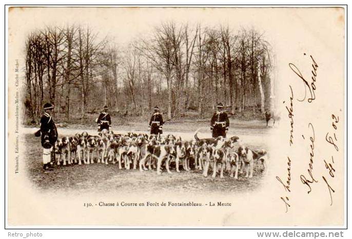 5 Cpa Chasse à Courre En Forêt De Fontainebleau - La Meute (chiens), Curée, ... (Thibault éditeur) - Chasse