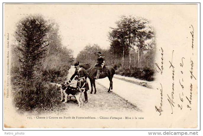 5 Cpa Chasse à Courre En Forêt De Fontainebleau - La Meute (chiens), Curée, ... (Thibault éditeur) - Chasse