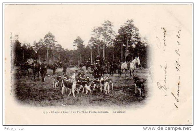 5 Cpa Chasse à Courre En Forêt De Fontainebleau - La Meute (chiens), Curée, ... (Thibault éditeur) - Chasse