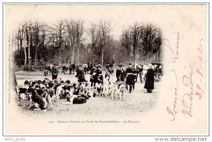 5 Cpa Chasse à Courre En Forêt De Fontainebleau - La Meute (chiens), Curée, ... (Thibault éditeur) - Chasse