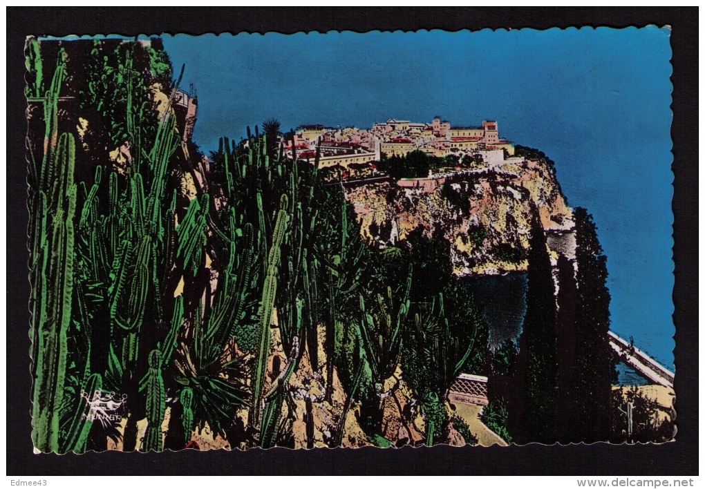 CPM Monaco, Le Rocher, Vu Depuis Les Jardins Exotiques, Années 1950 - Jardin Exotique