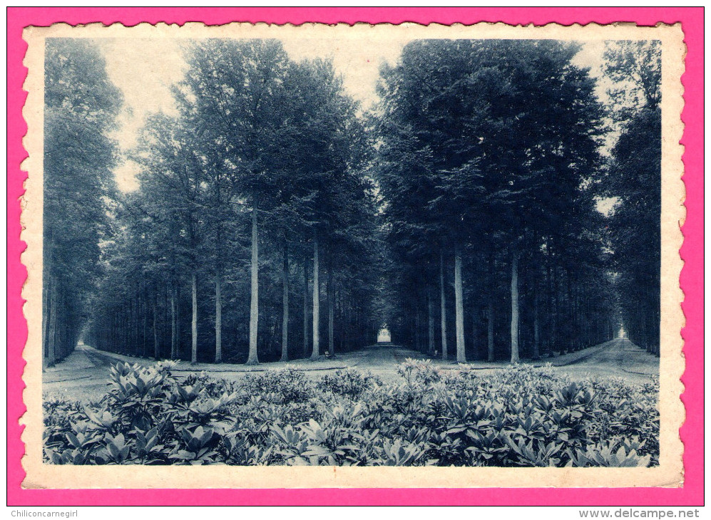 Enghien-Parc - La Patte D'Oie - NELS - Édition Collège St Augustin - Photo DUPONT - Enghien - Edingen