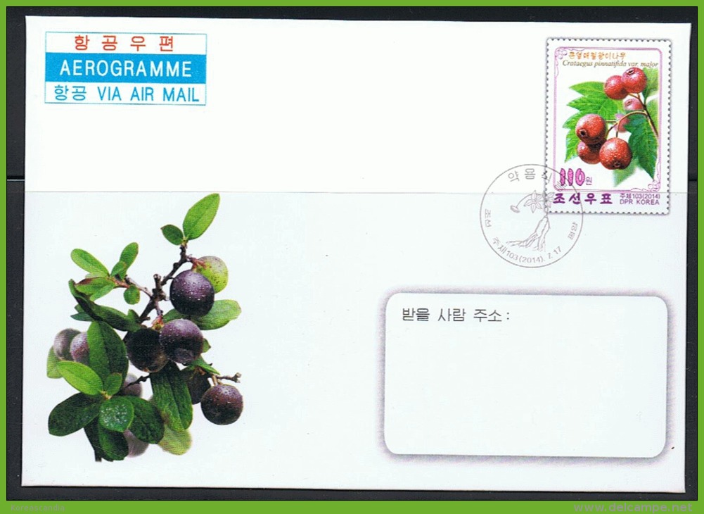 NORTH KOREA 2014 MEDICAL PLANTS AEROGRAM CANCELED - Plantes Médicinales