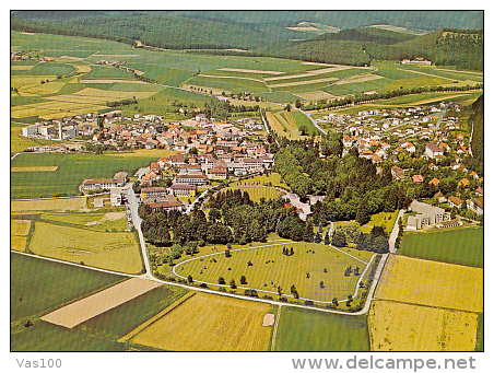 5909- BAD WILDUNGEN- RESORT, PANORAMA, POSTCARD - Bad Wildungen