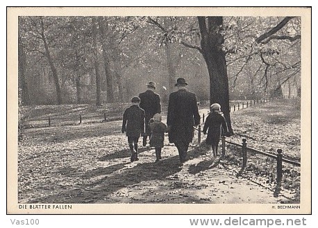 6000- ZITTAU- PARK IN AUTUMN, THE LEAVES FALL, POSTCARD - Zittau