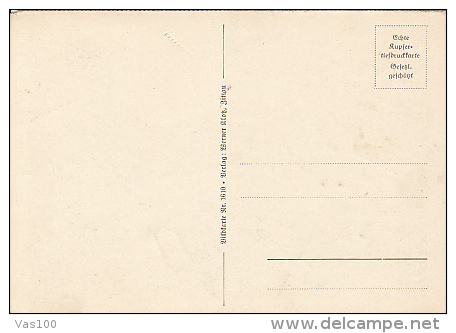 6008- ZITTAU- COUNTRYSIDE LANDSCAPE, FOREST IN SUNRISE, POSTCARD - Zittau