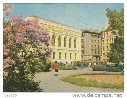 6071- RIGA- PARK IN SPRING, BLOSSOM, POSTCARD - Lithuania