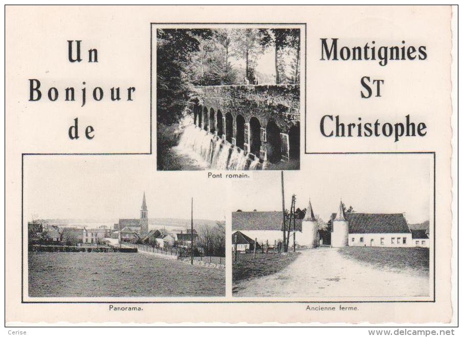 Un Bonjour De Montignies-St-Christophe - Merbes-le-Château