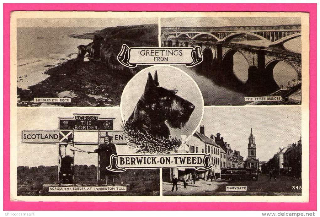 Greeting From Berwick-on-Tweed - Multivues - The Three Bridges - Needles Eye Rock - Across The Border At Lamberton Toll - Berwickshire