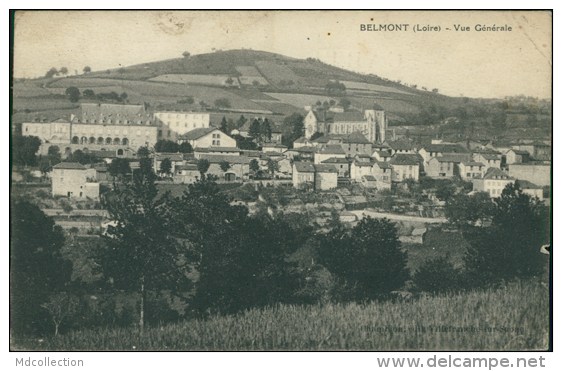 42 BELMONT DE LA LOIRE / Vue Générale / - Belmont De La Loire