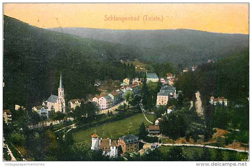 225905-Germany, Schlangenbad, Panorama, Stamp, Fischer & Kramer 1908 No 201 - Schlangenbad