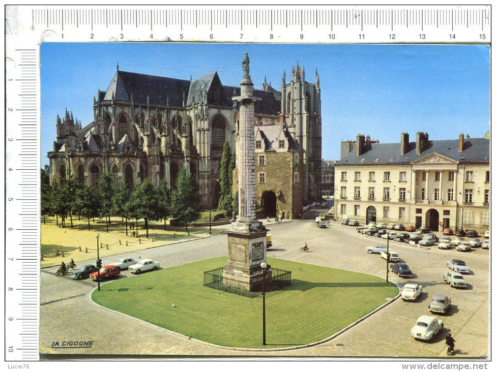 NANTES  -  Place Louis  XVI  -  Véhicules - Nantes