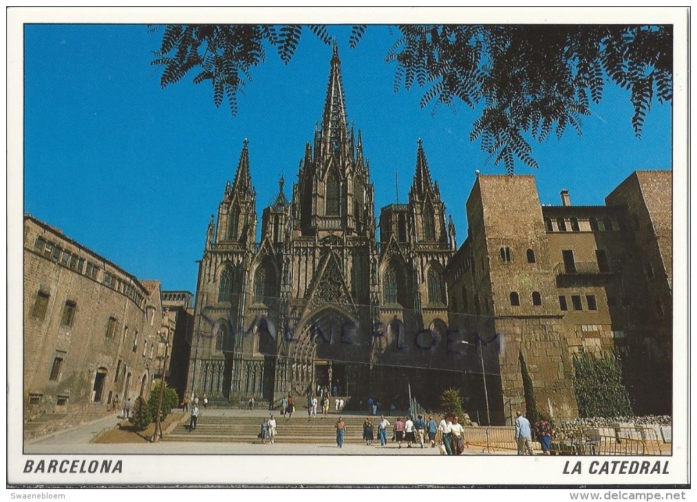 ES.- Barcelona. La Catedral. The Cathedral. The Cathedarale. 2 Scans - Iglesias