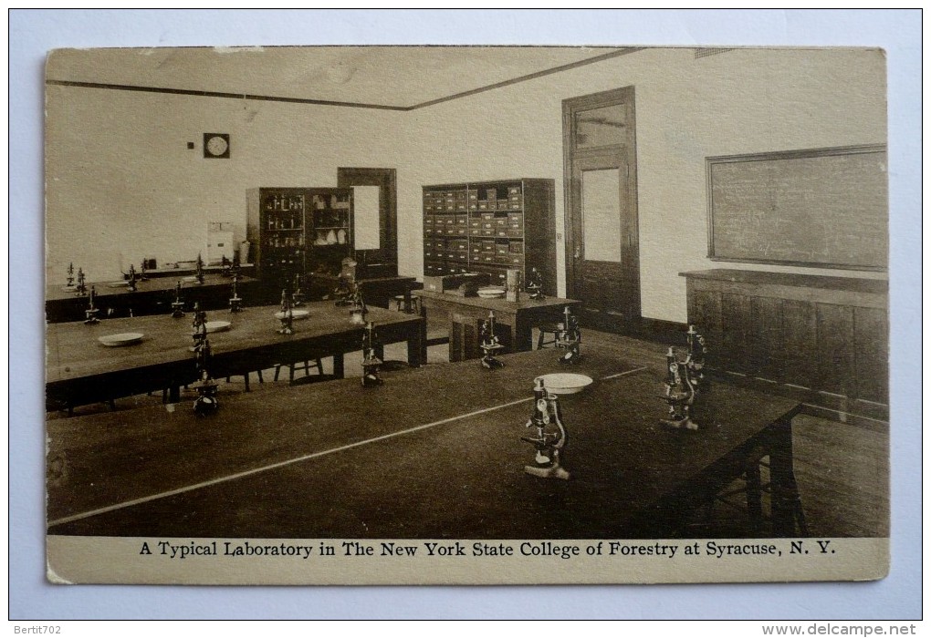 A TYPICAL LABORATORY IN THE NEW-YORK STATE COLLEGE OF FORESTRY  AT SYRACUSE   N.Y - Syracuse