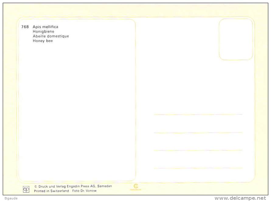 LUXEMBOURG  CARTE  MAXIMUM  NUM-YVERT  1099 APICULTURE ABEILLE RUCHE - Cartoline Maximum