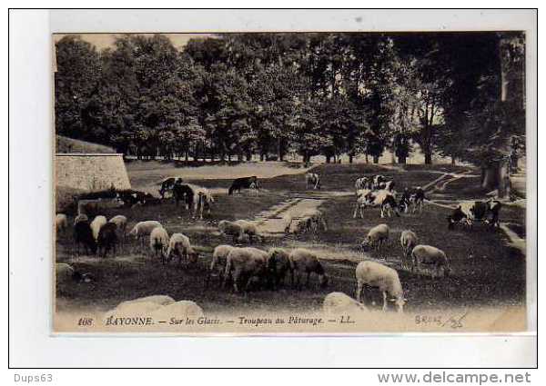 BAYONNE - Sur Les Glacis - Troupeau Au Pâturage - Très Bon état - Bayonne