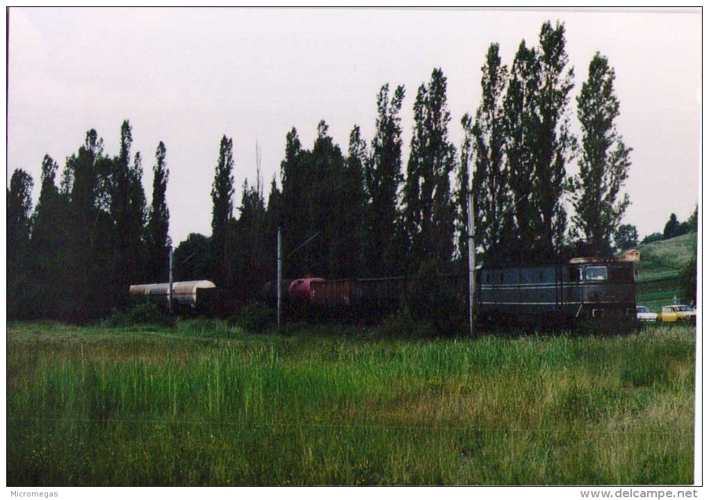 Roumanie - CFR - Train De Marchandises Entre Malnas Et Bodoc - 1995 - Trains